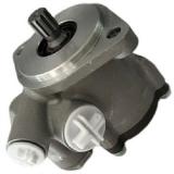 Mechanical Steering Pump PEV181616R101 for Volvo