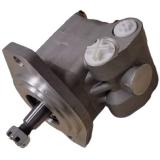 PS221616R32601S Mechanical Steering Pump